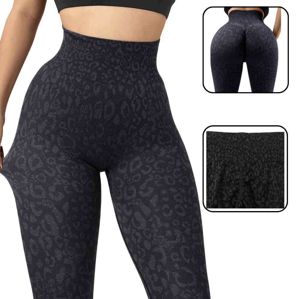 HxB Workout Leggings